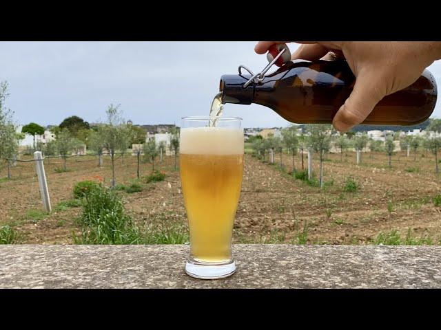 GRUIT BEER homemade   How to make Beer WITHOUT Hops but with ...