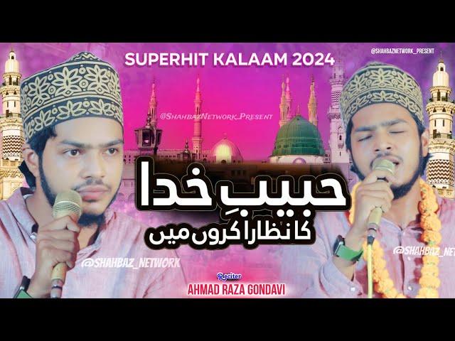 Habib e Khuda Ka Nazara Karon Mai - Ahmad Raza Gondavi- 2024