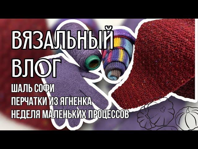 вязальный влог 36 | осенние аксессуары: перчатки, шаль Софи, бактус, шапка из Lana Gatto Maxi Soft