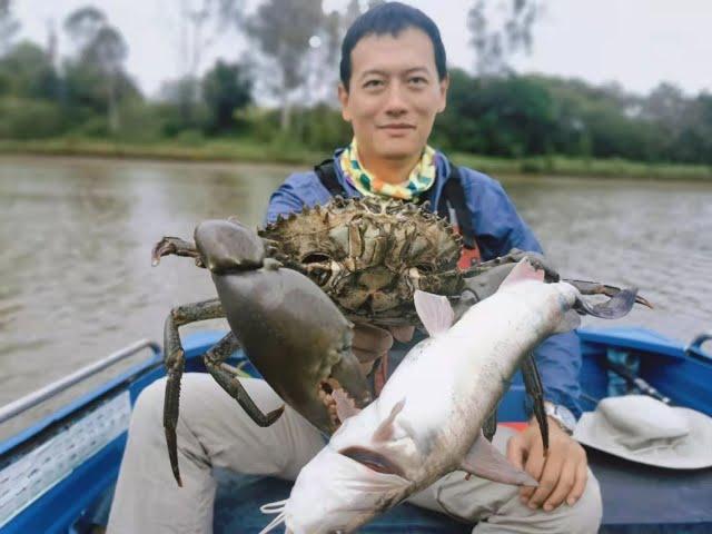 布里斯班河，暴雨捕泥蟹，喜获大丰收 Giant Mud Crab in Brisbane River