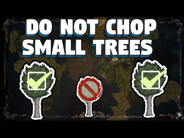 Do Not Chop Small Trees in Don't Starve Together - Leave Small Trees Alone in Don't Starve Together