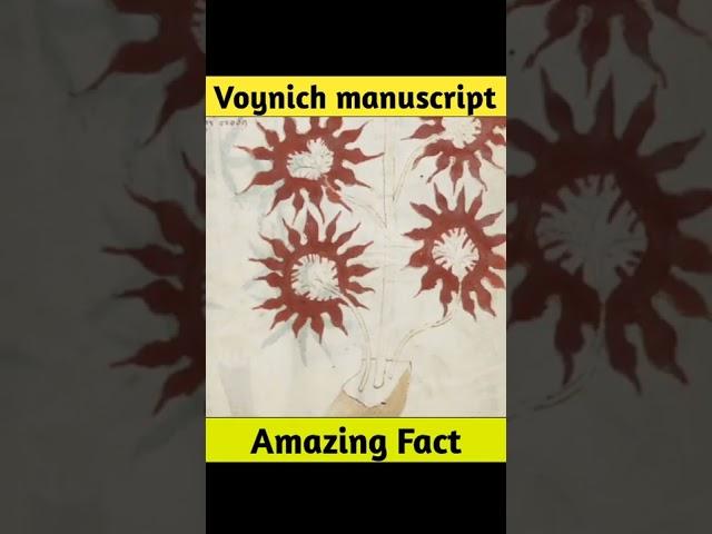 Voynich Manuscript :The Mystery Book || Uncoded Book Ever