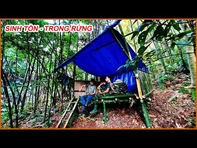 Sinh Tồn Trong Rừng Tập 1  Dựng Lán & Tìm Kiếm Thức Ăn, Đặt Bẫy THÚ RỪNG - Survival in The Forest