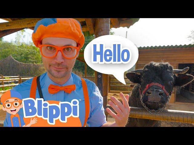 Blippi Pet Zoo! | Learn Animals | Blippi Educational Videos | Moonbug Kids