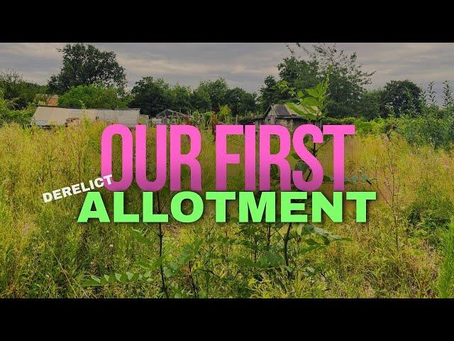 My new allotment plot 🪴| Clearing the plot | overgrown allotment | allotment gardening for beginners