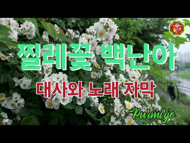 찔레꽃 백난아 대사와 가사 자막