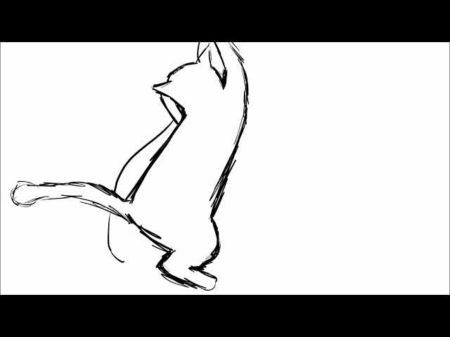 cat yarn sketch animation