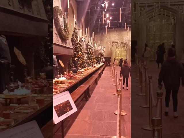 HARRY POTTER Worner Bros studio tour in London, Visit HOGWARTS ball room, enjoy Christmas in castle