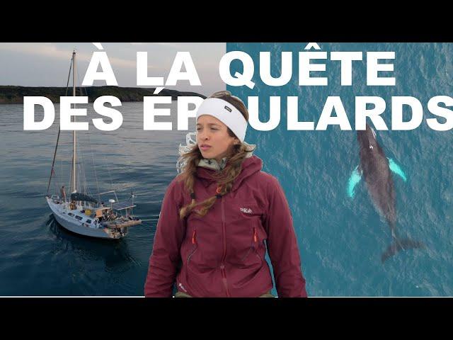 2 semaines SEULS en mer: ma première Expédition Scientifique à bord d'un VOILIER