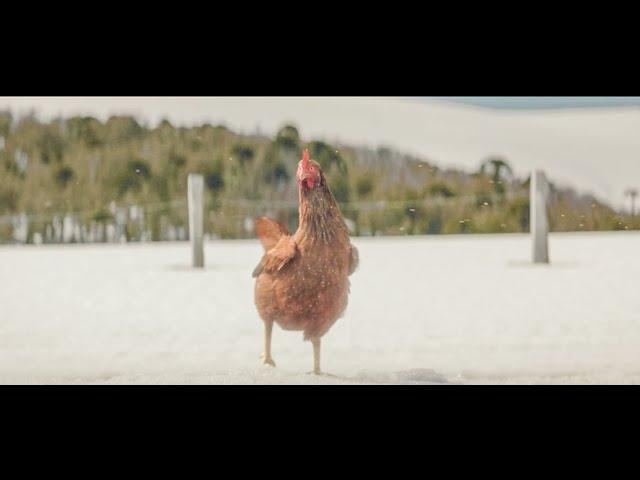 Crossroads | KFC Funny Commercial