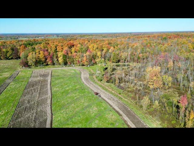 AERIAL VIEW OF THREE HORSES PLOWING A FIELD! #700