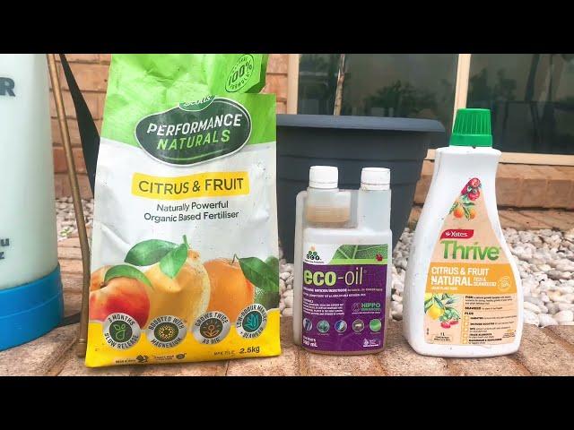 The best fertiliser for Citrus trees