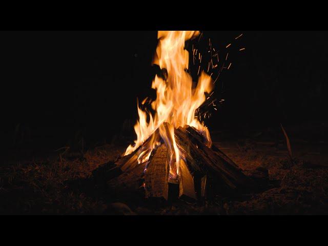 ASMR Sleep-Inducing Bonfire, Burning Firewood, Cricket chirping, White Noise 10 Hours