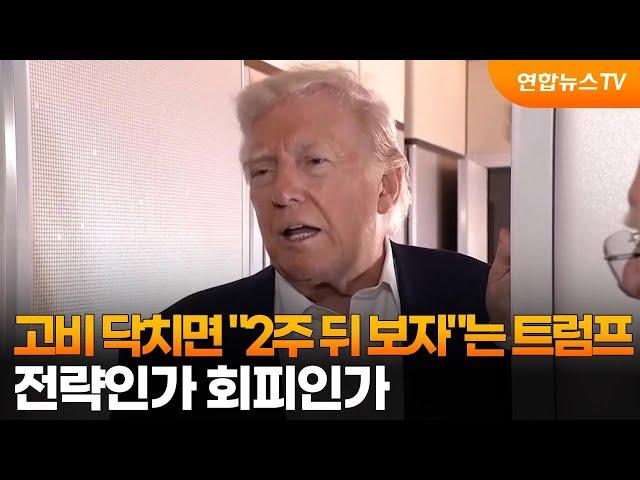 고비 닥치면 "2주 뒤 보자"는 트럼프…전략인가 회피인가 / 연합뉴스TV (YonhapnewsTV)