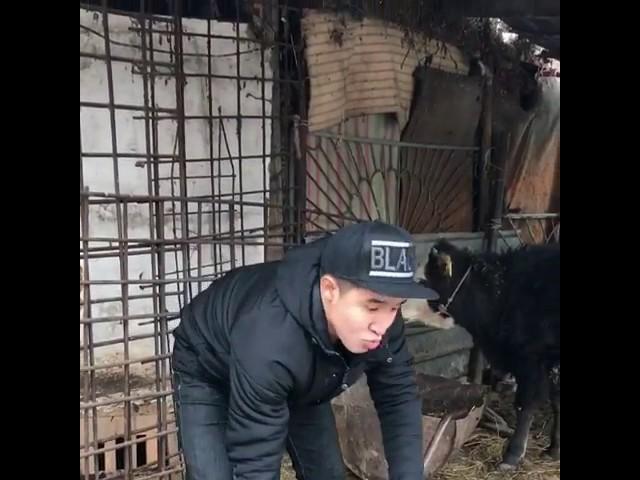 Бала кезімізде темір, бутылка өткізетін едік қой. Сол кез қыз еді - ия!