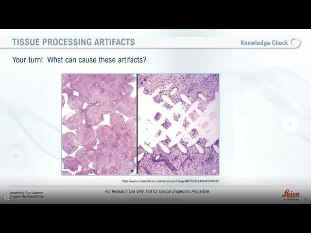 Lessons From The Laboratory: Optimizing Your Tissue Processing