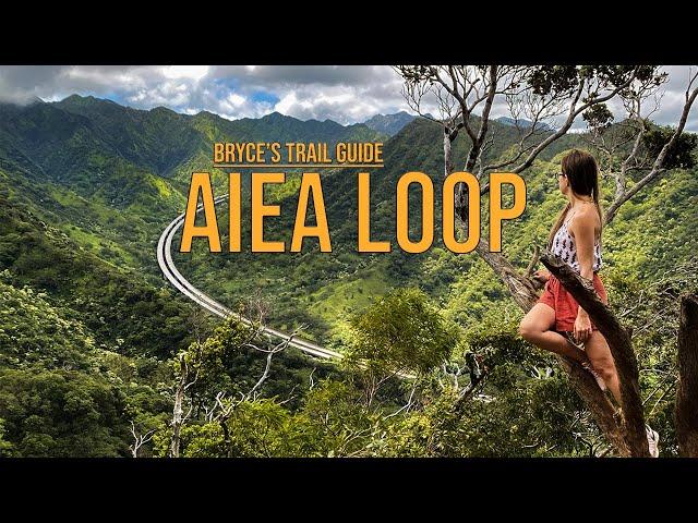 Aiea Loop Trail on Oahu Hawaii - The "Pretty Tree Hike" - Bryce's Trail Guide