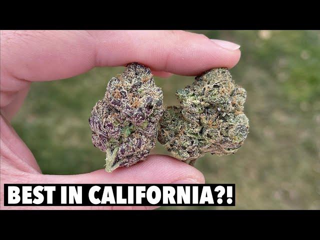 BEST WEED IN CALIFORNIA?