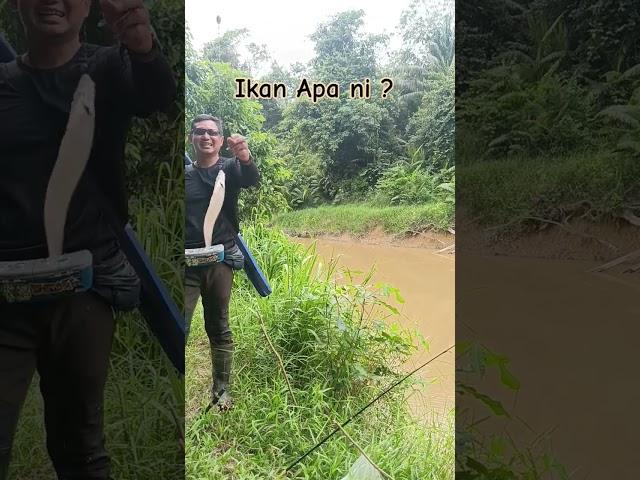 Ikan Apa ini?