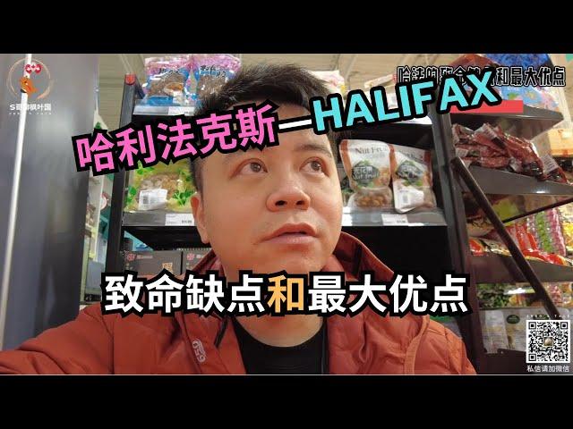 哈法的致命缺点和最大优点！｜哈利法克斯｜Halifax｜加拿大｜移民｜#s哥聊枫叶国 哥聊枫叶国