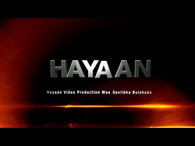 HAYAAN MEDIA OPENER