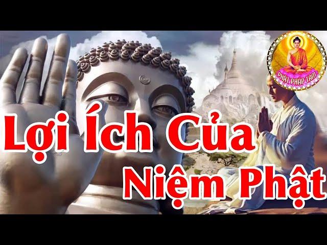 Lợi Ích Của Người Niệm Phật Giúp Cuộc Sống Hết Khổ Đau Hạnh Phúc Sẽ Đến - Phật Pháp Tâm