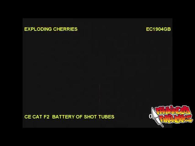 Brothers Pyrotechnics - Exploding Cherries 16 SHOT Cake Barrage Firework