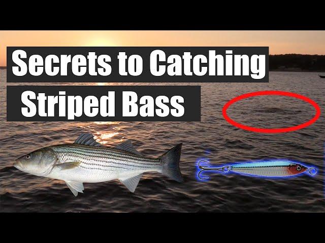 Fishing for Stripers | Lake Texoma | Part 1