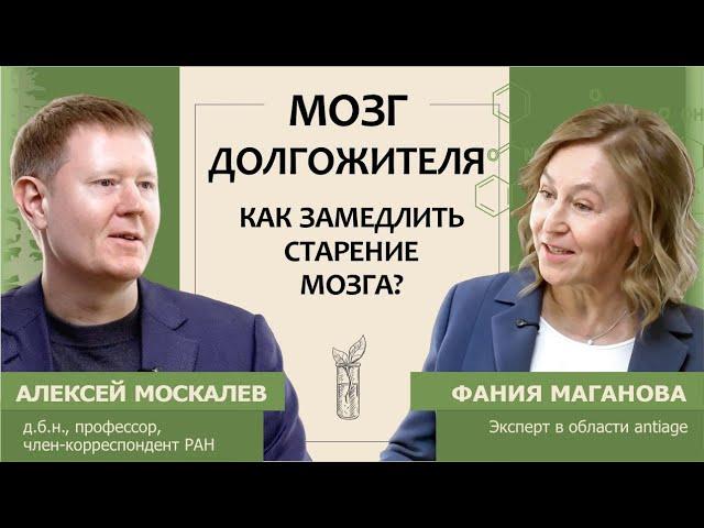 Мозг долгожителя. Как замедлить старение мозга?