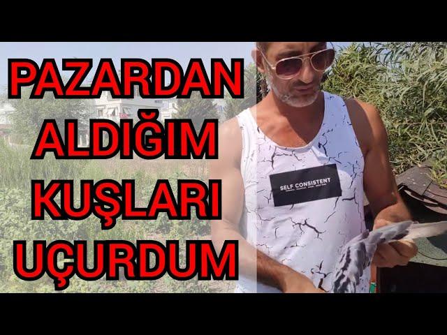 25 TL DEN ALDIĞIM GÜVERCİNLERİ UÇURDUM.HEPSİ SÜRPRİZ YAPTİ