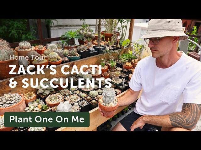 Zack's CACTI & SUCCULENT Houseplant Home Tour — Ep. 390