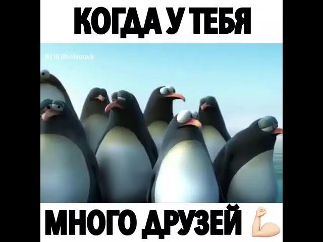 ПРИКОЛ 'когда у тебя много друзей'