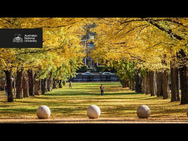 ANU Admissions: Received an offer from ANU? What to do next