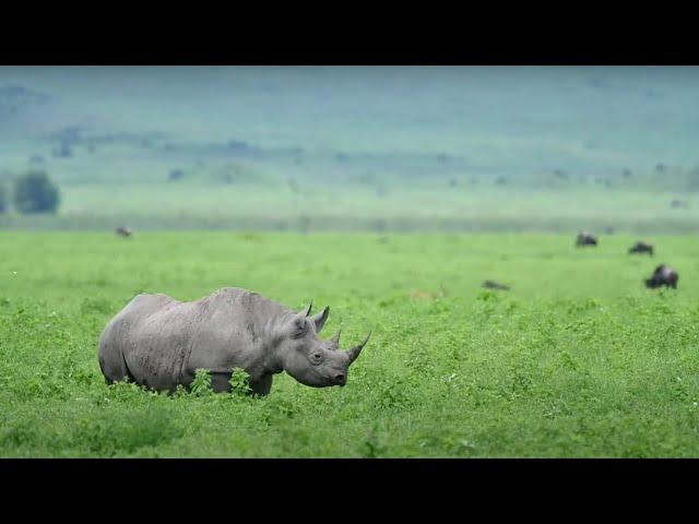 Dispatch from the bush: Hunt's Photo's Don Toothaker from Ngorongoro Nyumba Camp