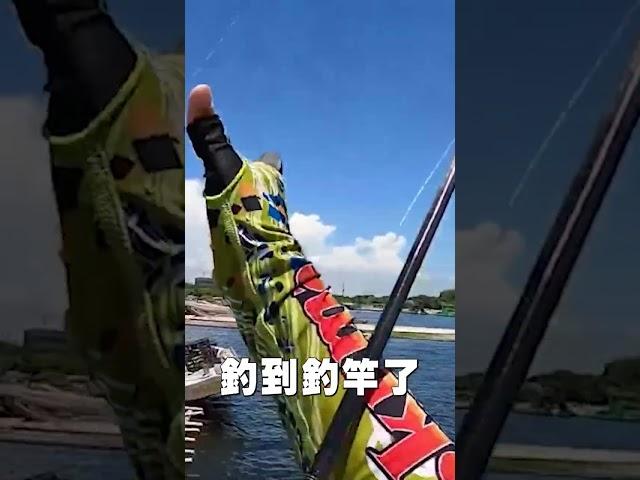 釣魚釣到一支釣竿....釣竿竟然勾著一隻大魚#shorts #釣魚 #fishing