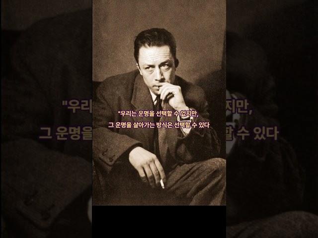 "알베르 카뮈"의 인생 명언 #명언 #멋진글귀 #철학자
