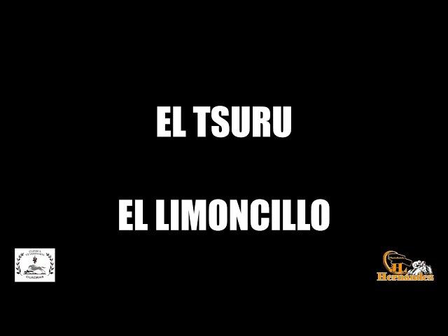 CARRERAS EN SONOYTA 24.9.16  4a tsuru vs limoncito