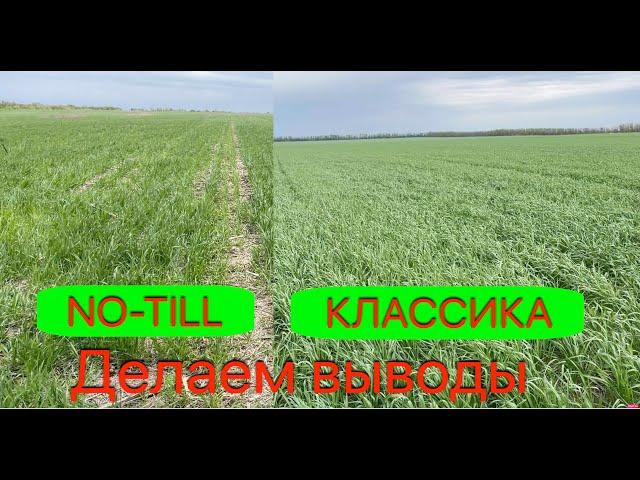 No-till vs Класика. Озимая пшеница 2021.