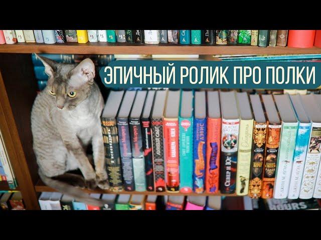 ВСЕ МОИ КНИЖНЫЕ ПОЛКИ! жуть как много книг