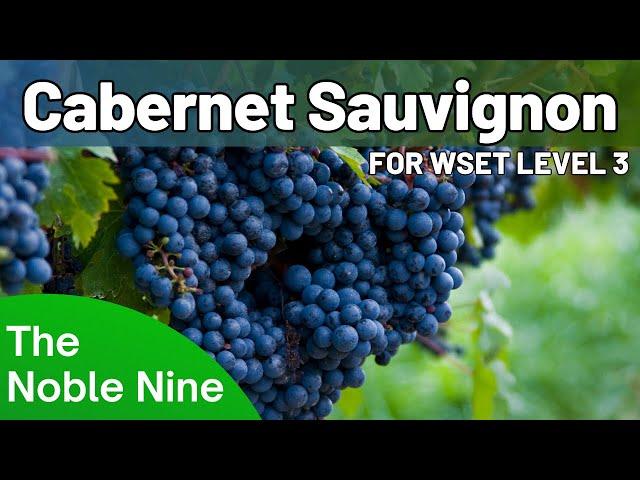 The Noble Nine - Cabernet Sauvignon For WSET Level 3