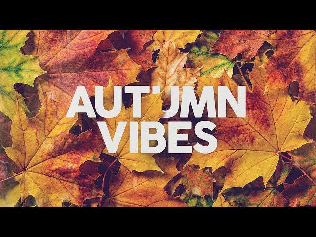 Autumn Vibes - Chill & Relax - Cool Music