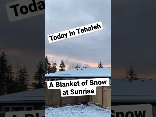 Today in Tehaleh - A Blanket of Snow - Gives the Community a Dusting on a Cold Cold Day