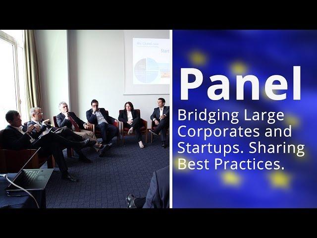 SEP Matching Event, Naples - Bridging Large Corporates and Startups. Sharing Best Practices