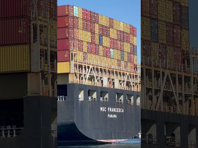 Large MSC Container Ship