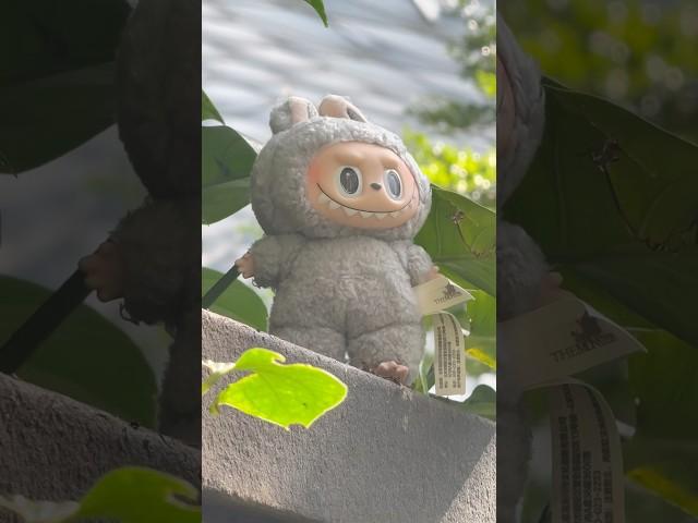 LABUBU missing!!!  help me find @ Jewel Changi Airport #Singapore #Labubu