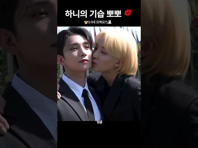 [세븐틴/슈아/정한]왜 뽀뽀가 자연스러운건데