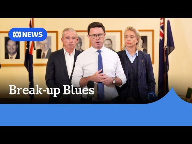 David Littleproud under pressure from within Nationals to reconcile with the Liberals | ABC NEWS