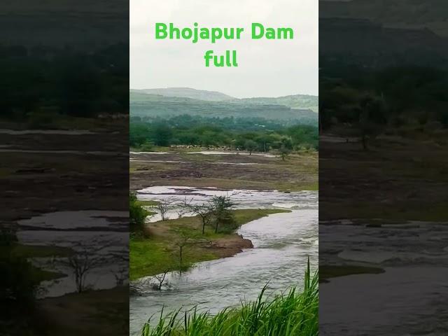 bhojapur dam full date 5/8/2024 sakhali 8:30 pm ️️️ #bhojapur #shorts