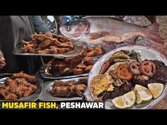 Peshawari Chapli Kabab And Fish Fry | Musafir Machli Farosh | Toray Kabab | Street Food of Pakistan