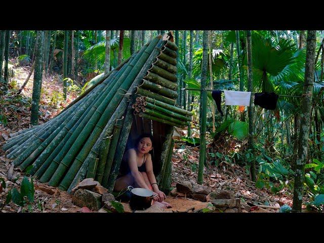 FULL VIDEO: 1 Days SOLO Bushcraft alone in the bamboo forest , creates my survival shelter